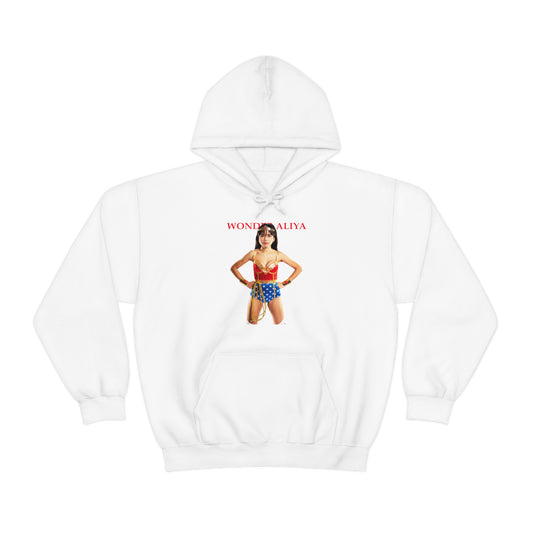 Wonder Aliya Hoodie | Sexy cosplay (two-sided print)
